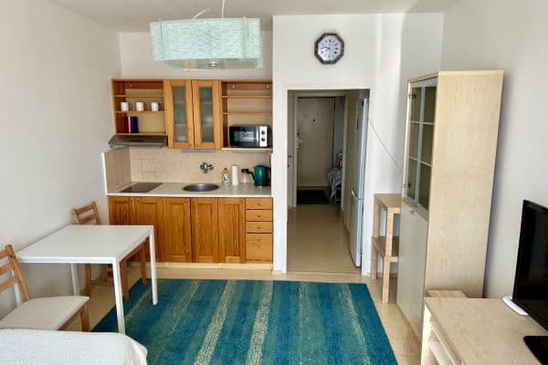 Pronájem bytu 1+kk 28 m², Nad Lesním divadlem, Praha Pronájem bytu 1+kk 28 m², Nad Lesním divadlem, Praha