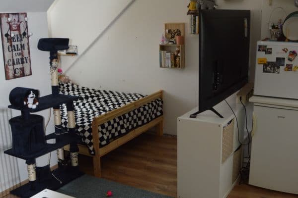 Pronájem bytu 1+kk 27 m², Újezd, Praha Pronájem bytu 1+kk 27 m², Újezd, Praha