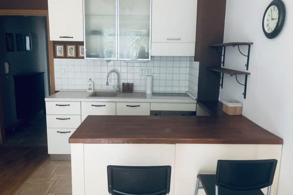 Pronájem bytu 1+kk 40 m², Úvoz, Brno Pronájem bytu 1+kk 40 m², Úvoz, Brno