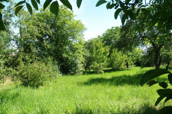 Prodej pozemku 1.635 m², Bažantní, Praha Prodej pozemku 1.635 m², Bažantní, Praha