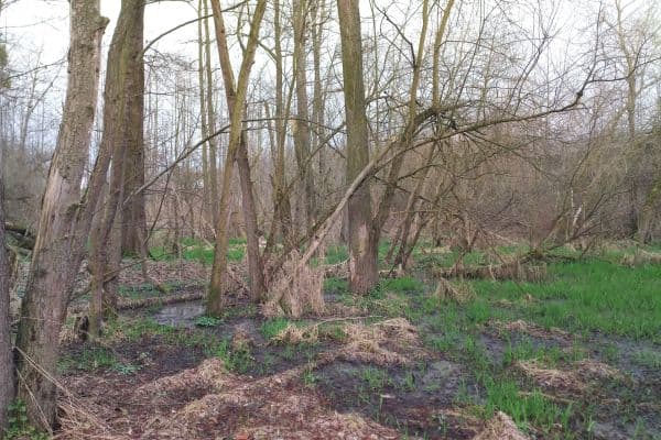 Prodej pozemku 2.638 m², Klimkovice Prodej pozemku 2.638 m², Klimkovice