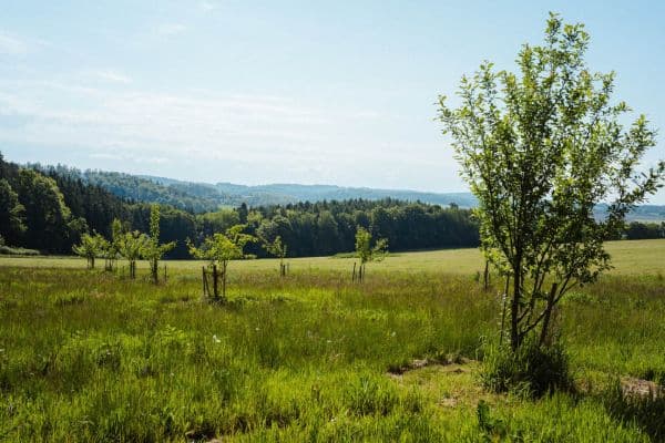 Prodej pozemku 126.783 m², Žirov Prodej pozemku 126.783 m², Žirov