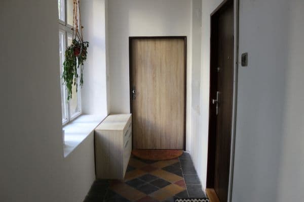 Pronájem bytu 2+kk 41 m², Bořivojova, Praha Pronájem bytu 2+kk 41 m², Bořivojova, Praha