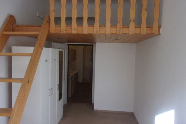 Pronájem bytu 1+kk 20 m², Vítkova, Praha Pronájem bytu 1+kk 20 m², Vítkova, Praha