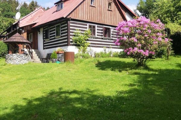 Pronájem chaty, chalupy, Jílové u Držkova Pronájem chaty, chalupy, Jílové u Držkova