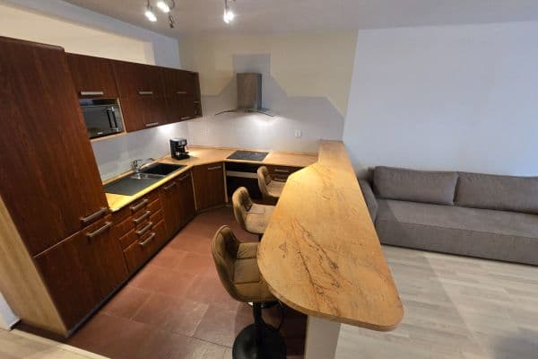 Prodej bytu 1+kk 63 m², Vodní, Brno Prodej bytu 1+kk 63 m², Vodní, Brno