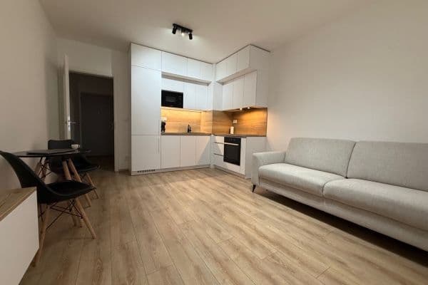 Pronájem bytu 1+kk 28 m², Spolková, Brno Pronájem bytu 1+kk 28 m², Spolková, Brno
