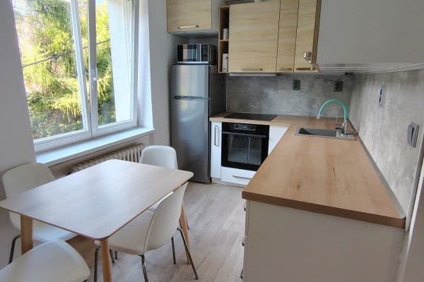 Pronájem bytu 2+1 54 m², Dřevařská, Brno Pronájem bytu 2+1 54 m², Dřevařská, Brno