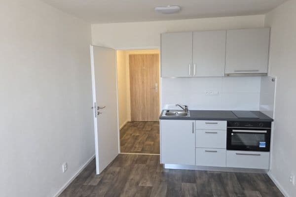 Pronájem bytu 1+kk 22 m², Paličkova, Ostrava Pronájem bytu 1+kk 22 m², Paličkova, Ostrava