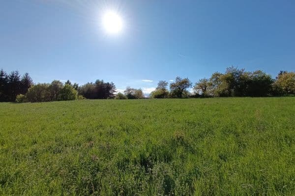 Prodej pozemku 748 m², Braníškov Prodej pozemku 748 m², Braníškov