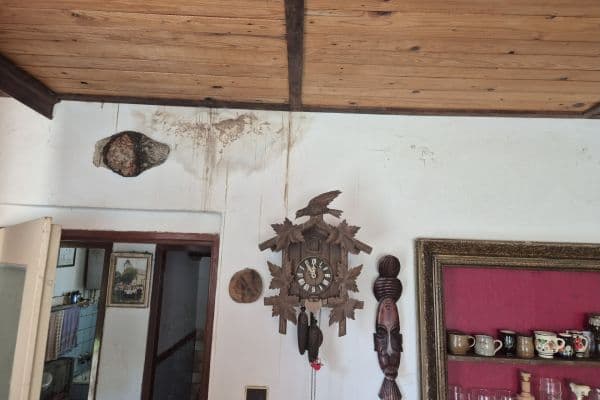 Prodej chaty, chalupy 45 m², pozemek 418 m², Týn nad Vltavou Prodej chaty, chalupy 45 m², pozemek 418 m², Týn nad Vltavou