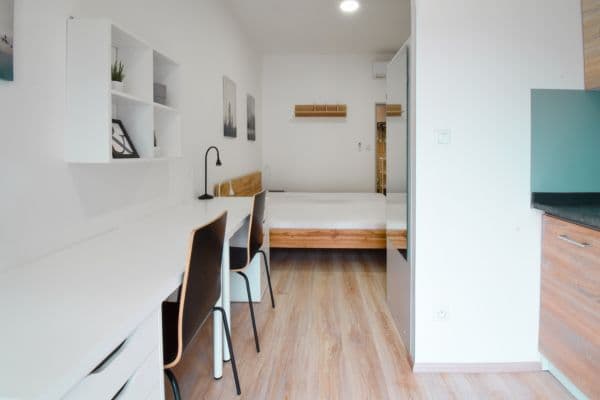 Pronájem bytu 1+kk 19 m², Václavská, Brno Pronájem bytu 1+kk 19 m², Václavská, Brno