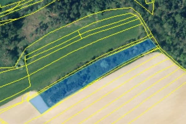 Prodej pozemku 4.746 m², Česká Bříza Prodej pozemku 4.746 m², Česká Bříza