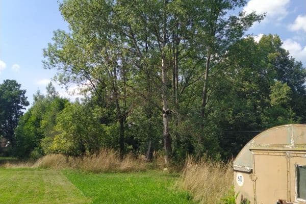 Prodej pozemku 4.902 m², Moravská Třebová Prodej pozemku 4.902 m², Moravská Třebová