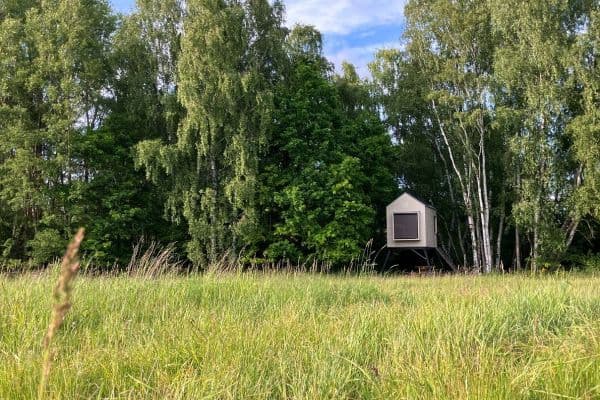 Pronájem chaty, chalupy, Nová Ves Pronájem chaty, chalupy, Nová Ves