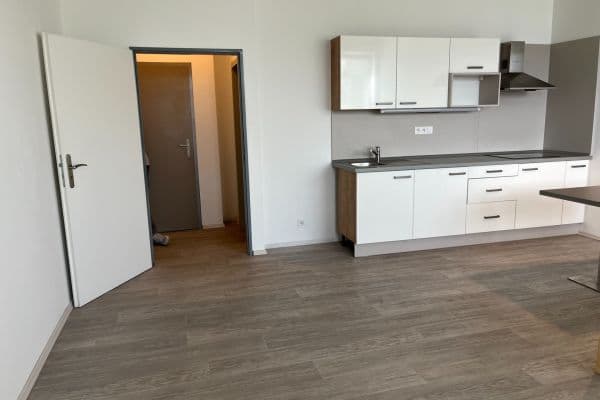 Pronájem bytu 1+kk 45 m², U Uhříněveské obory, Hlavní město Praha Pronájem bytu 1+kk 45 m², U Uhříněveské obory, Hlavní město Praha