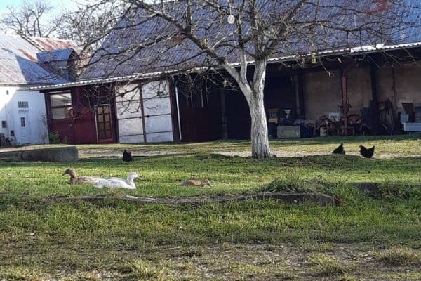 Pronájem nebytového prostoru 200 m², Stříbrná Lhota, Mníšek pod Brdy, Středočeský kraj Pronájem nebytového prostoru 200 m², Stříbrná Lhota, Mníšek pod Brdy, Středočeský kraj