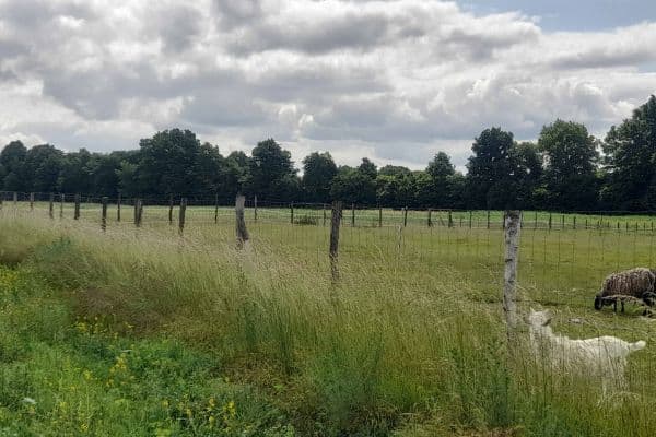 Prodej pozemku 1.450 m², Struhy Prodej pozemku 1.450 m², Struhy