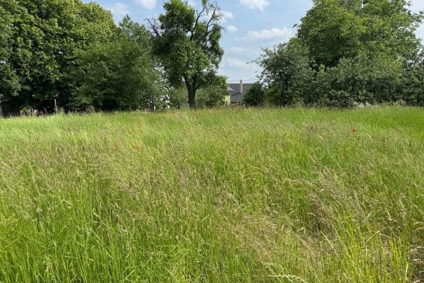 Prodej pozemku 962 m², Záhumenní, Slavkov Prodej pozemku 962 m², Záhumenní, Slavkov