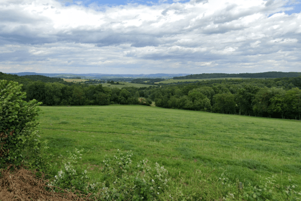 Prodej pozemku 12.682 m², Netvořice Prodej pozemku 12.682 m², Netvořice