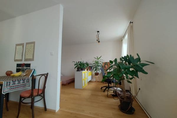 Pronájem bytu 1+kk 40 m², kpt. Nálepky, Olomouc Pronájem bytu 1+kk 40 m², kpt. Nálepky, Olomouc