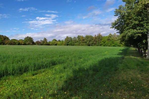 Prodej pozemku 1.800 m²,  Prodej pozemku 1.800 m²,