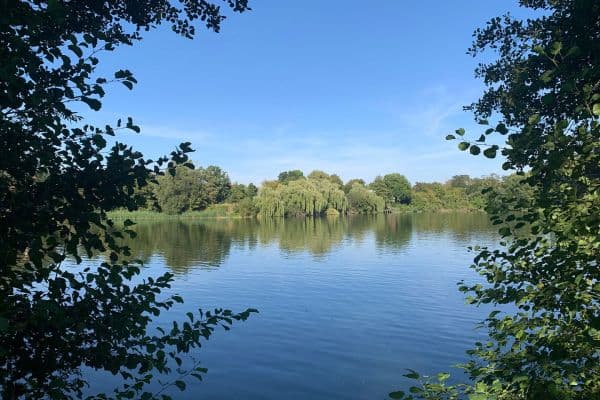 Prodej pozemku 1.115 m², Bahnhofstraße 7, Treuenbrietzen Prodej pozemku 1.115 m², Bahnhofstraße 7, Treuenbrietzen