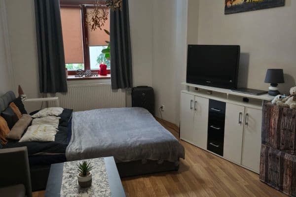 Pronájem bytu 1+kk 45 m², Na Sadech, České Budějovice Pronájem bytu 1+kk 45 m², Na Sadech, České Budějovice