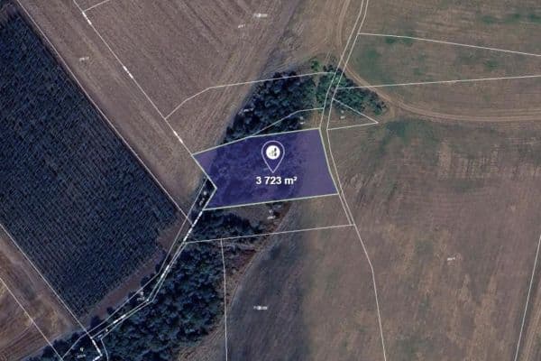 Prodej pozemku 3.723 m², Nové Sedlo Prodej pozemku 3.723 m², Nové Sedlo
