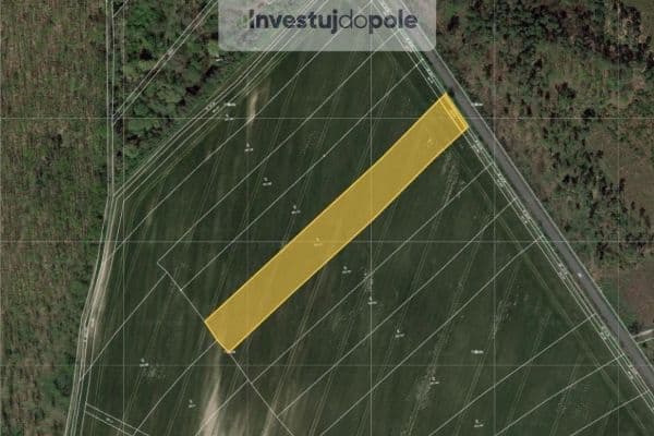 Prodej pozemku 1.594 m², Loučeň Prodej pozemku 1.594 m², Loučeň