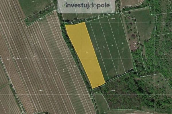 Prodej pozemku 8.391 m², Horní Věstonice Prodej pozemku 8.391 m², Horní Věstonice
