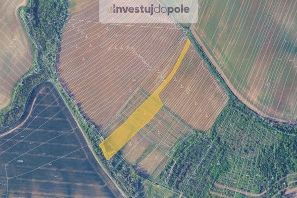 Prodej pozemku 8.175 m², Mělčany Prodej pozemku 8.175 m², Mělčany