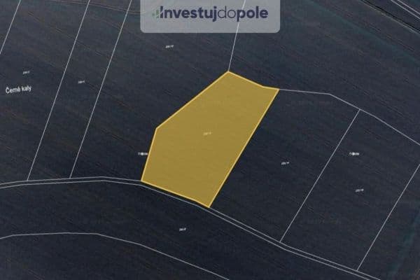 Prodej pozemku 8.228 m², Bítouchov Prodej pozemku 8.228 m², Bítouchov