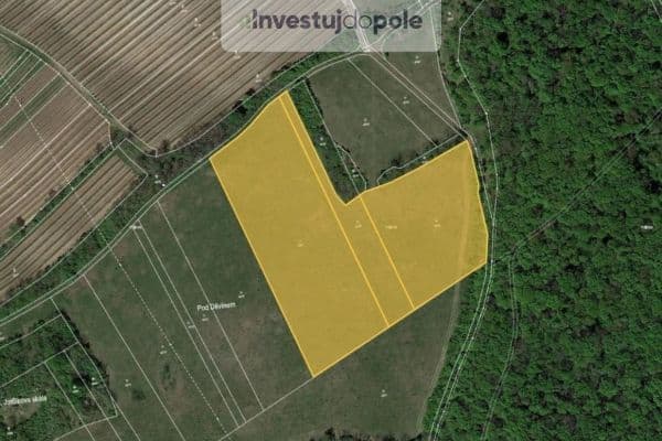 Prodej pozemku 24.706 m², Horní Věstonice Prodej pozemku 24.706 m², Horní Věstonice