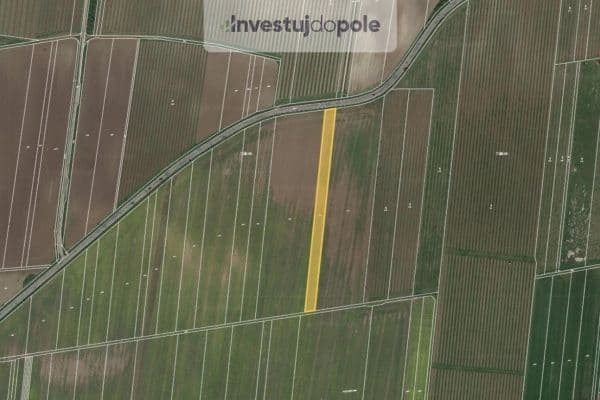 Prodej pozemku 4.997 m², Strachotín Prodej pozemku 4.997 m², Strachotín