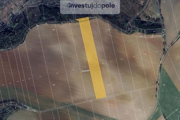 Prodej pozemku 10.240 m², Letovice, Jihomoravský kraj Prodej pozemku 10.240 m², Letovice, Jihomoravský kraj