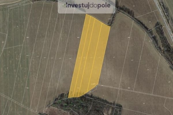 Prodej pozemku 3.091 m², Drahobuz Prodej pozemku 3.091 m², Drahobuz