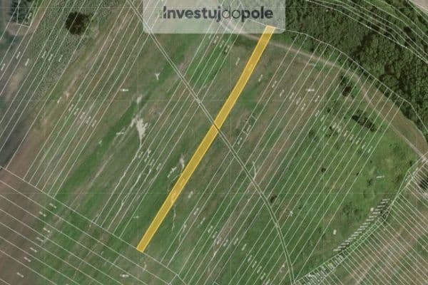 Prodej pozemku 1.713 m², Mikulčice Prodej pozemku 1.713 m², Mikulčice