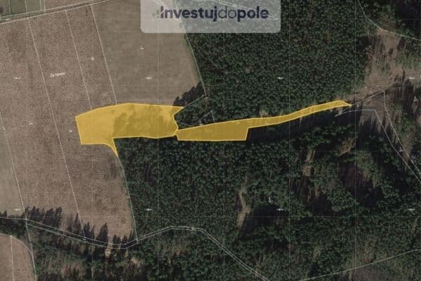 Prodej pozemku 17.635 m², Planá, Plzeňský kraj Prodej pozemku 17.635 m², Planá, Plzeňský kraj