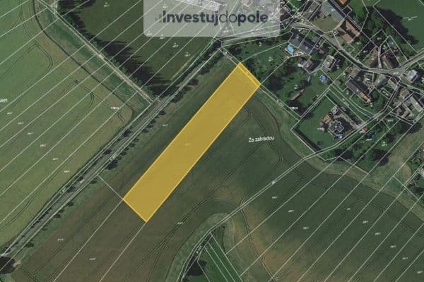 Prodej pozemku 3.386 m², Pavlov Prodej pozemku 3.386 m², Pavlov