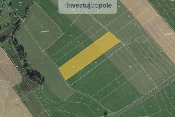 Prodej pozemku 11.102 m², Běhařov Prodej pozemku 11.102 m², Běhařov
