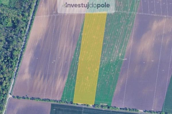 Prodej pozemku 31.775 m², Sokolnice Prodej pozemku 31.775 m², Sokolnice