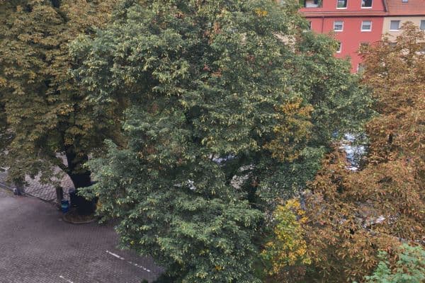 Pronájem bytu Garsoniéra 27 m², Kbelská, Praha Pronájem bytu Garsoniéra 27 m², Kbelská, Praha