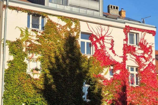 Pronájem bytu 2+kk 61 m², U Hráze, Hlavní město Praha Pronájem bytu 2+kk 61 m², U Hráze, Hlavní město Praha