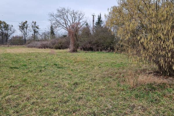 Prodej pozemku 1.253 m², Am Moorbruch 7, Wustermark, Braniborsko Prodej pozemku 1.253 m², Am Moorbruch 7, Wustermark, Braniborsko