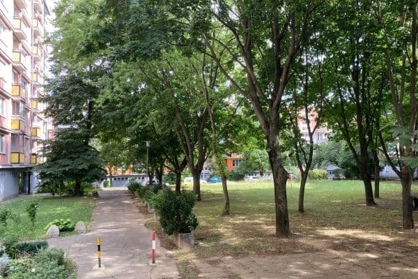 Pronájem bytu 2+1 60 m², Mikovíniho, Nové Mesto Pronájem bytu 2+1 60 m², Mikovíniho, Nové Mesto