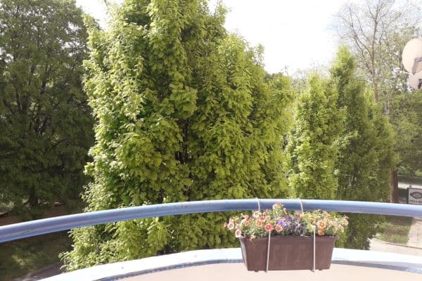 Prodej bytu 1+kk 34 m², Živného, Brno Prodej bytu 1+kk 34 m², Živného, Brno