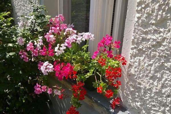 Prodej bytu 1+kk 40 m², Berlin, Berlín Prodej bytu 1+kk 40 m², Berlin, Berlín