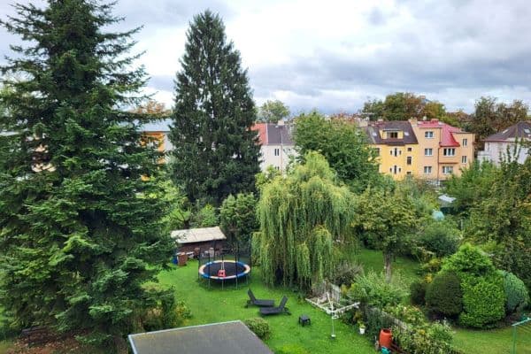 Pronájem bytu 2+1 53 m², Mánesova, České Budějovice, Jihočeský kraj Pronájem bytu 2+1 53 m², Mánesova, České Budějovice, Jihočeský kraj