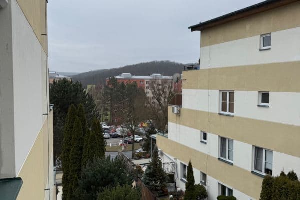 Pronájem bytu 1+kk 31 m², Adamcova, Brno, Jihomoravský kraj Pronájem bytu 1+kk 31 m², Adamcova, Brno, Jihomoravský kraj